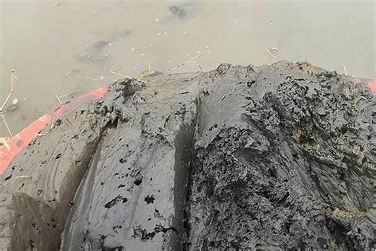 鱼塘淤泥清理出来以后如何处理