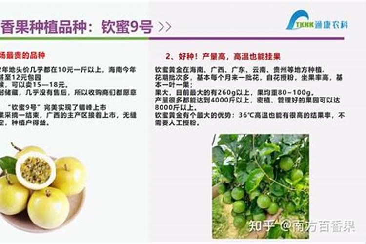 百香果怎么就出现炸的情况了