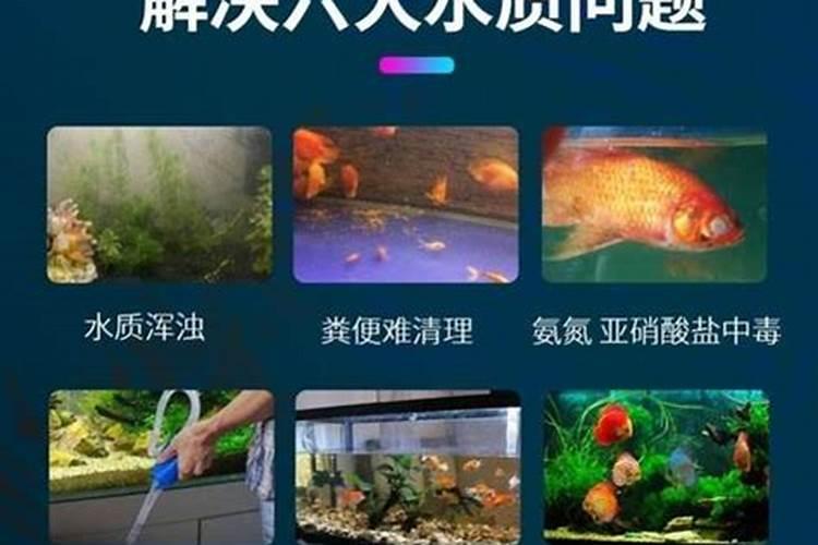 葡萄酒渣如何做花肥