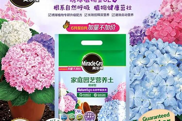 无尽夏用什么肥料