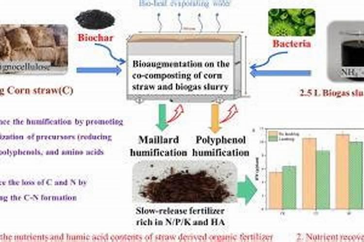 玉米做肥料是鲜玉米好还是干的好
