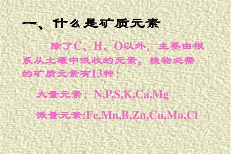 矿物质对人体的作用有什么