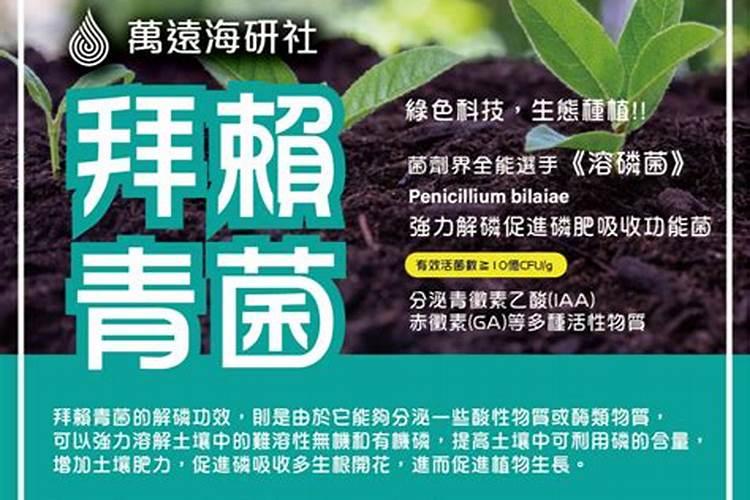 近期走访市场发现草鱼大肚子病非常严重,分析原因及推荐解决方案百度...