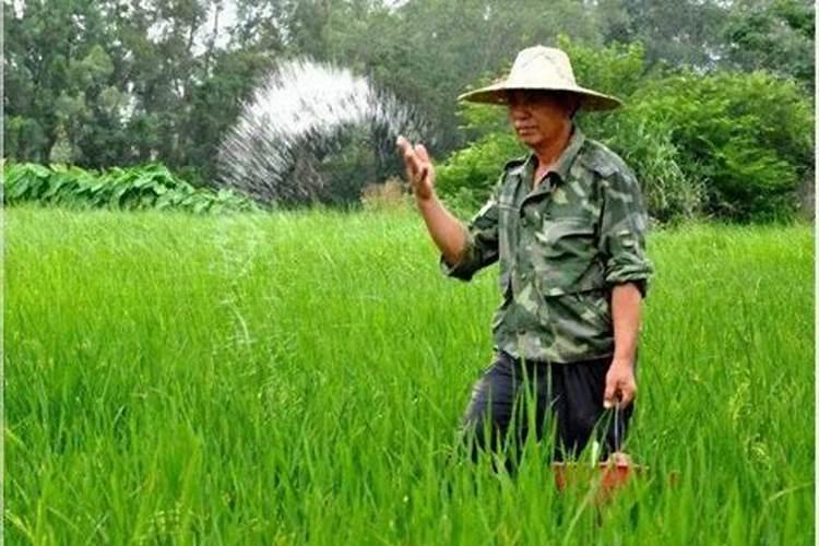 倍特电动车是不是外资企业呢