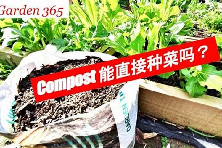 堆肥可以直接种菜吗