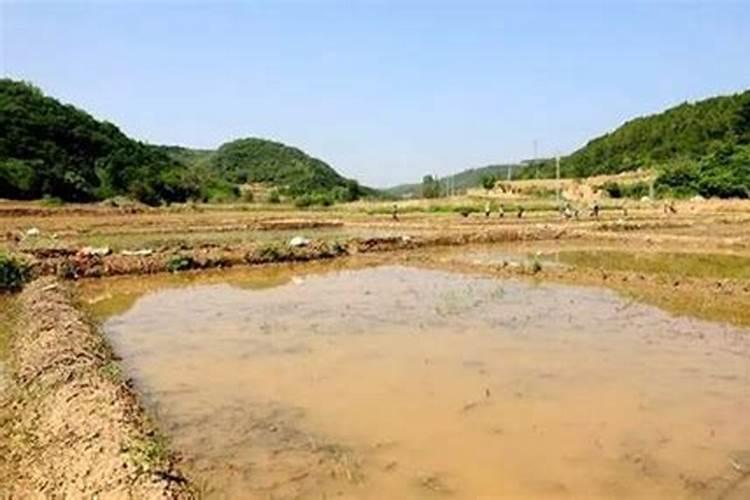 刚撒完复合肥就下大雨还有肥效吗？