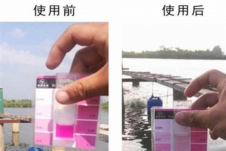 水产降亚硝酸盐最快的方法