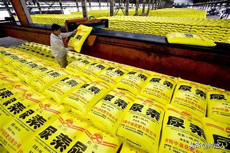 小麦最忌三种肥料