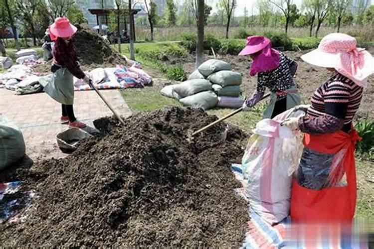 种菜用什么有机肥料最好