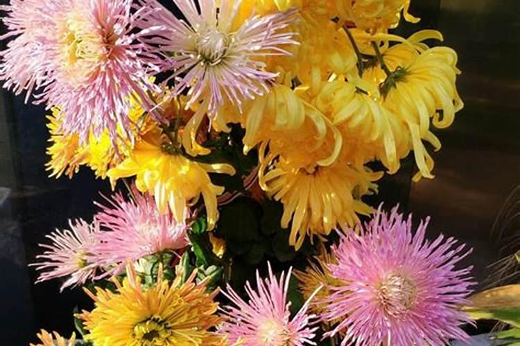 栀子花鲜切花怎么水养简短介绍