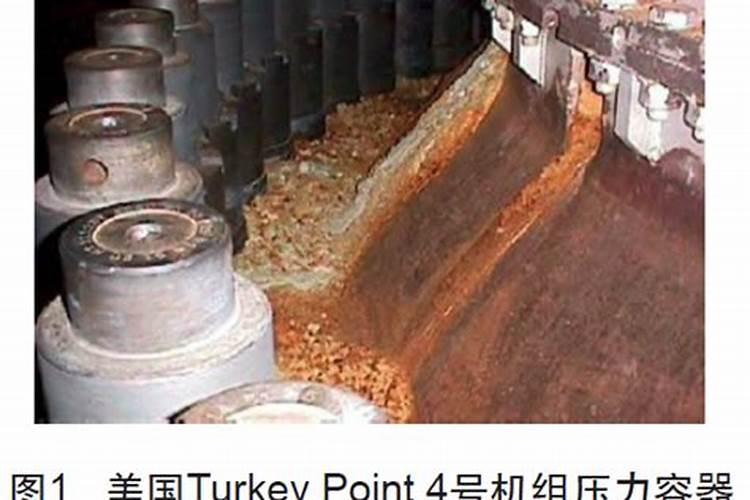 豆角怎么判断是否施过腐植酸硼