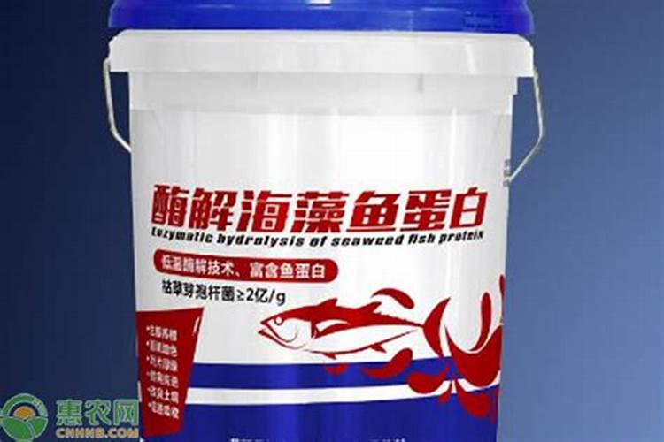 西葫芦高产使用鱼蛋白肥好不好