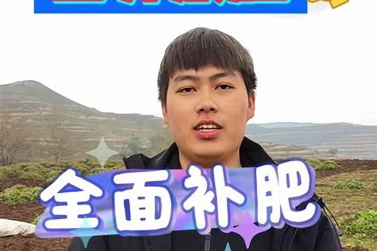 红薯最怕什么肥料