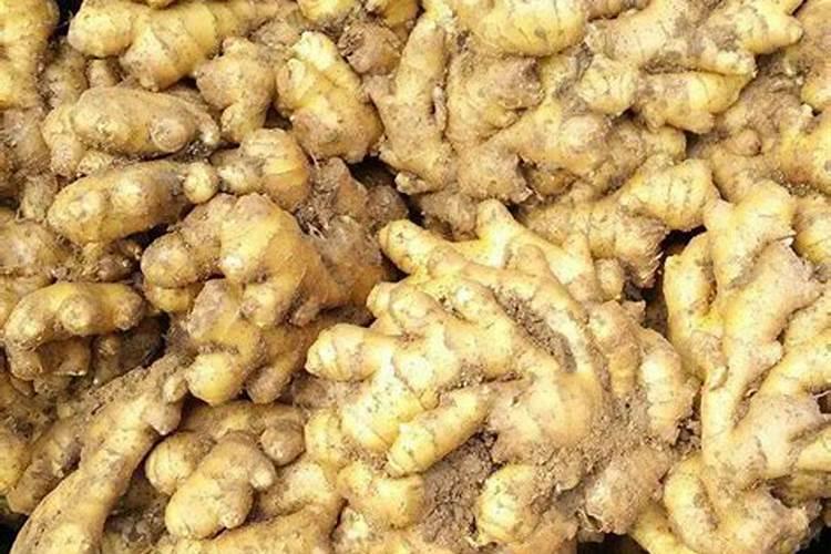 姜什么时侯追肥效果好