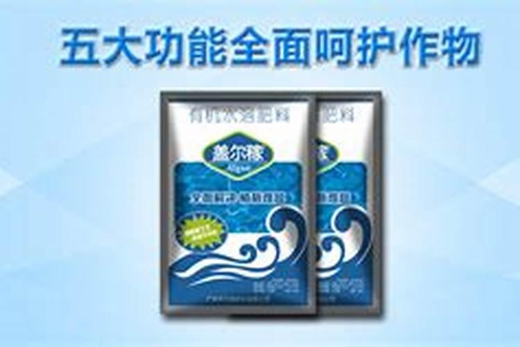 草莓生根壮苗的水溶肥有几种？