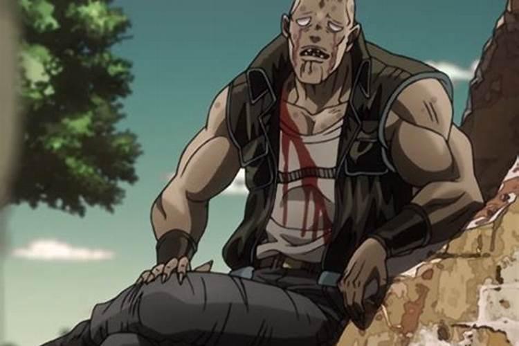 西红柿用什么水溶肥？