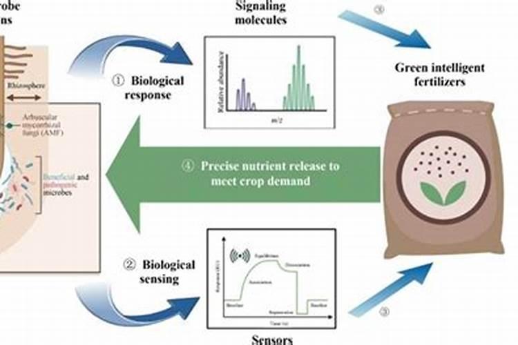 水稻叶面肥配方