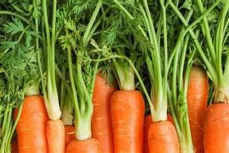 萝卜什么时候打根茎块膨大素？萝卜膨大期施什么肥料好？