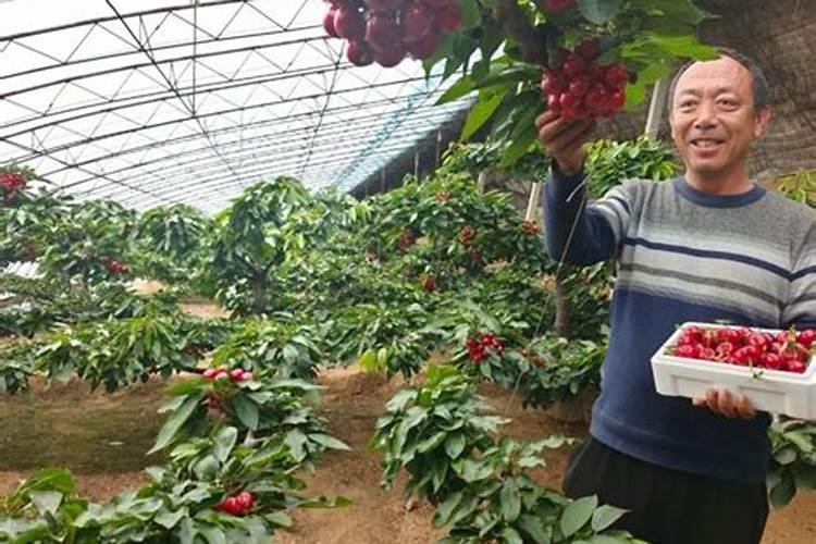 什么是鱼蛋白肥料,鱼蛋白肥料作用及使用方法