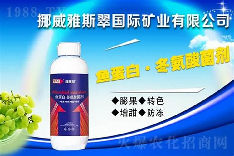 鱼蛋白水溶肥现在怎么用