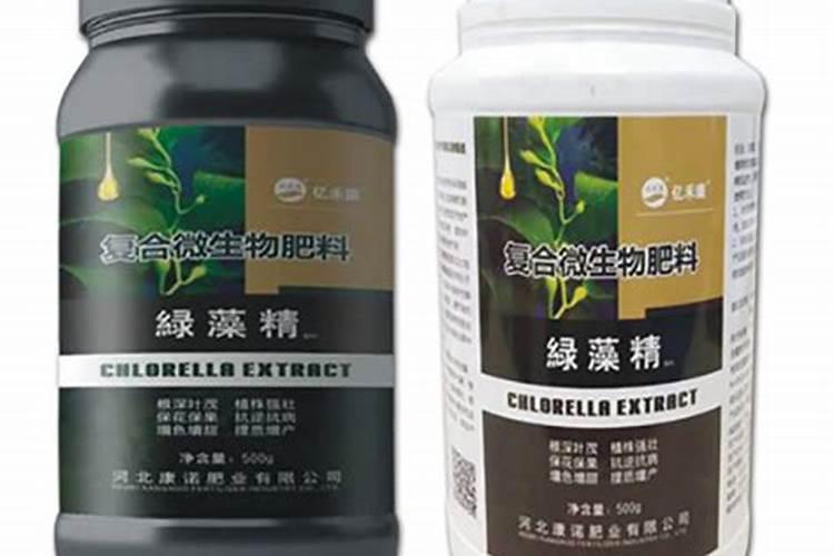 金鱼缸的绿藻应该怎么样进行繁殖？