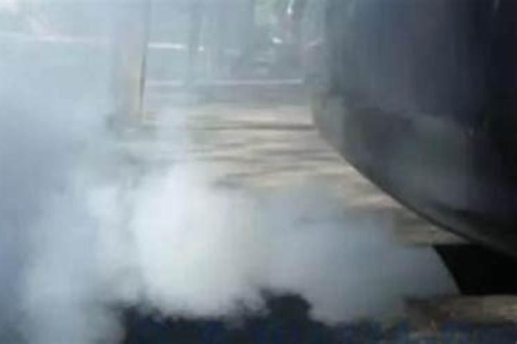 多肉可以直接泡在多菌灵里面吗