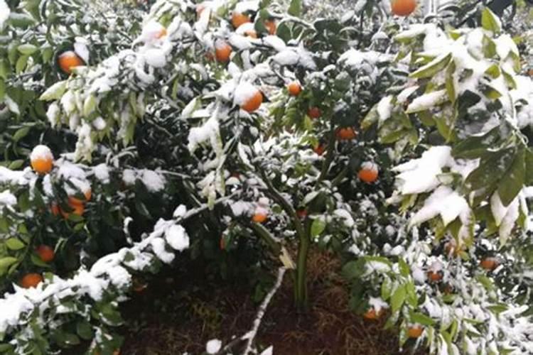 冷镀锌的工艺流程