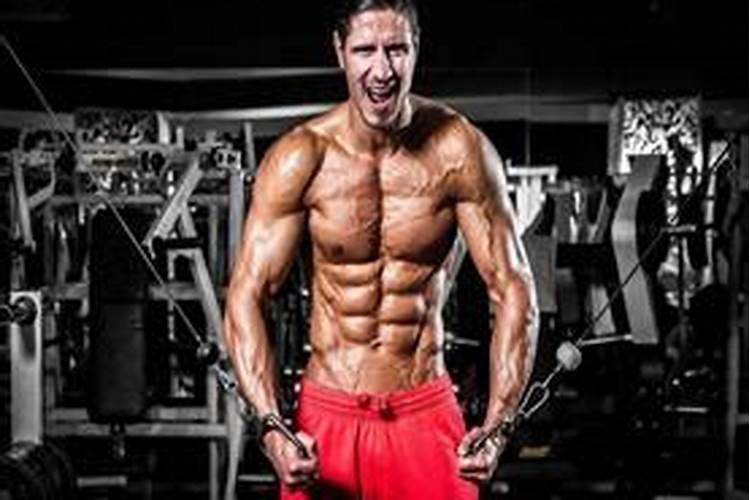 使用生物有机肥有什么好处