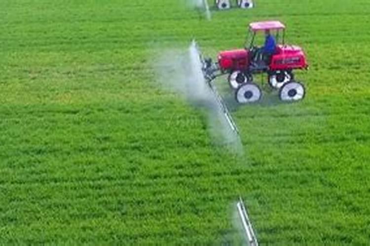 100斤麦种用多少芸苔素拌种 芸苔素如何使用