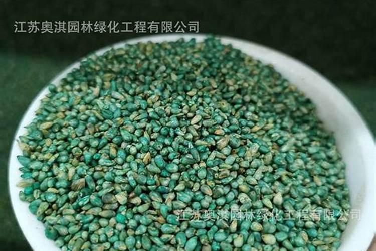 水溶肥果树灌根正确方法