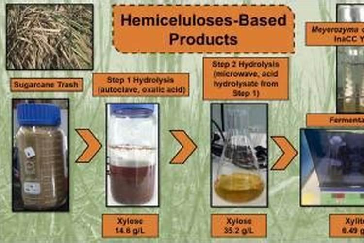 甘蔗渣怎么做肥料发酵