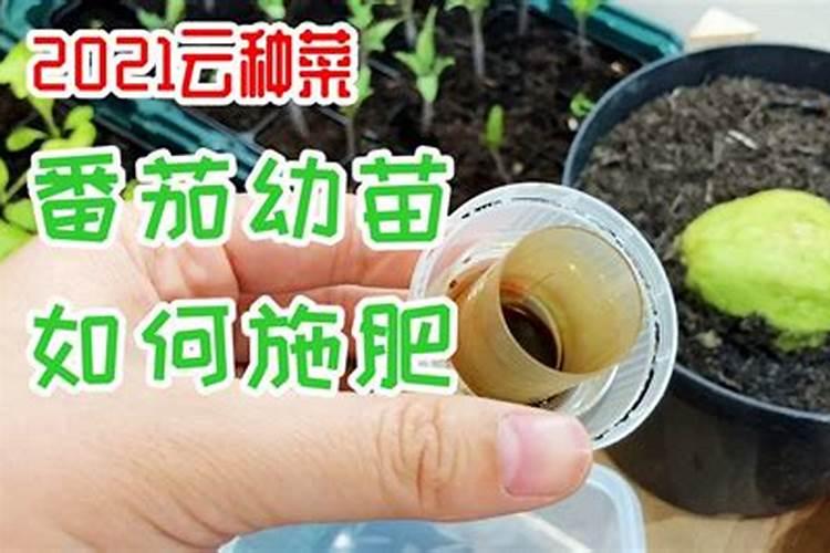 亚磷酸钾控旺多长时间见效、能使用在共秋葵上吗？如何使用