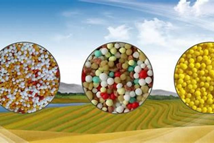 山东中北生物科技有限公司怎么样？