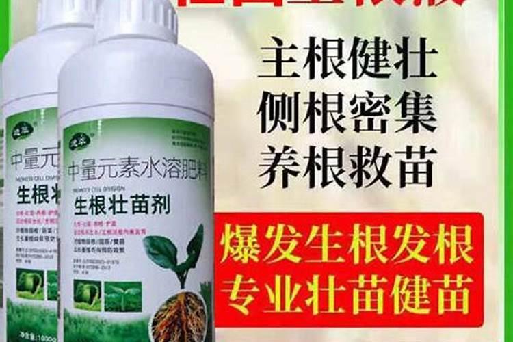 中药壮根施肥用什么比较好？中药壮根灵怎么用？