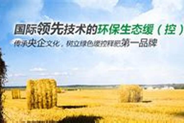 中盐安徽红四方肥业股份有限公司的产品有哪些