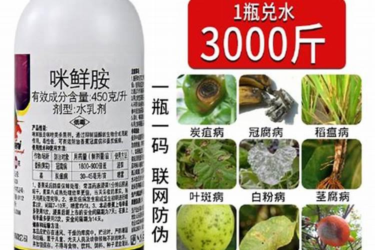 果树杀菌剂有哪些