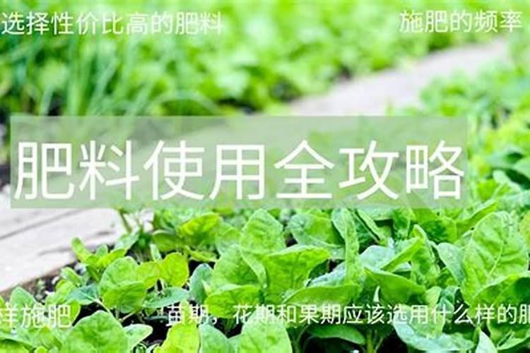 俄罗斯60钾肥肥料级和颗粒状哪个好