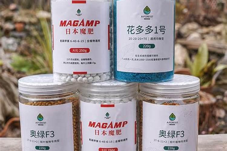 秋季适合入手文心兰,花朵清香,想养好得控制住手,别乱给水