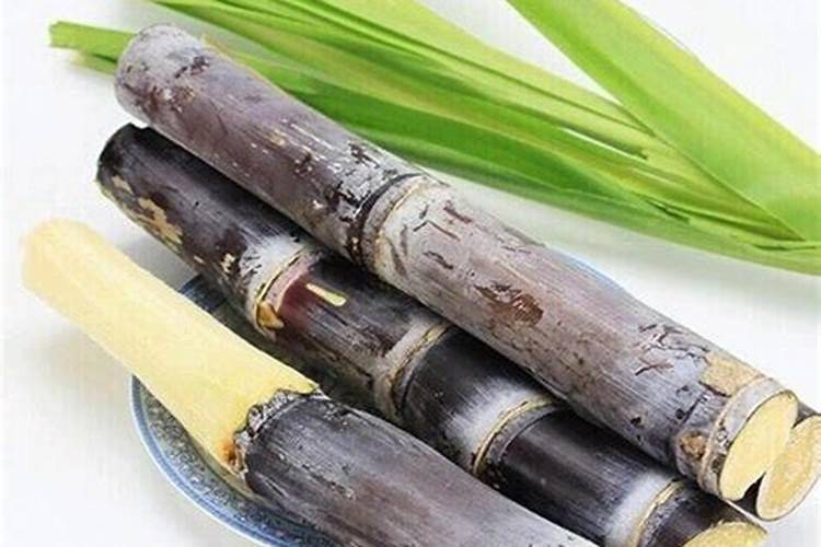 种植黑皮甘蔗,怎么样管理好？