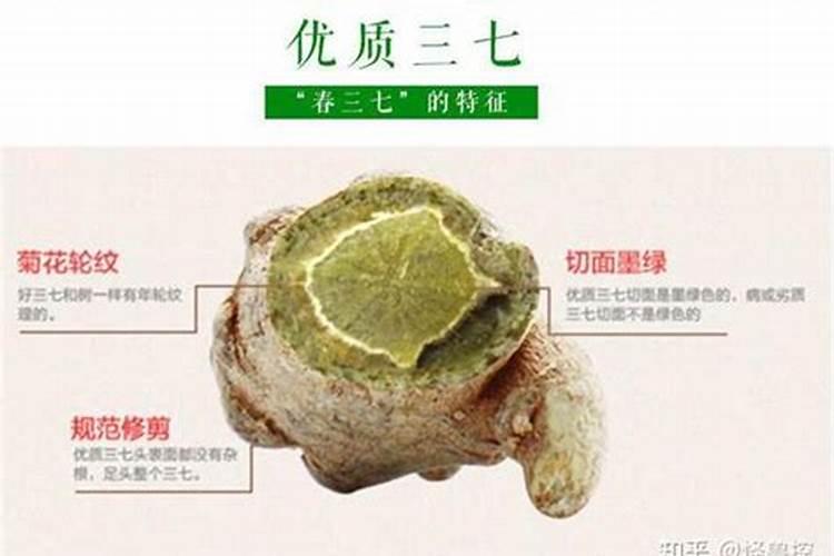 阳光玫瑰套袋前打什么药