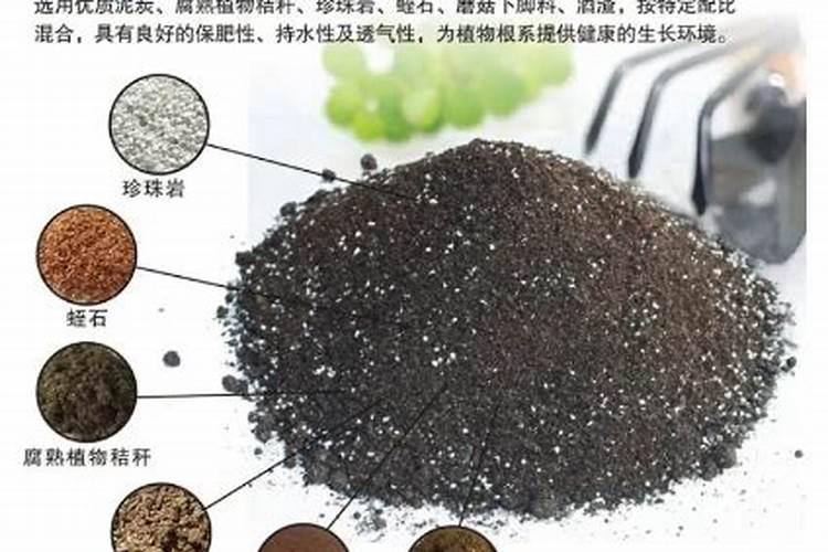 盆栽花卉如何用化肥做基肥