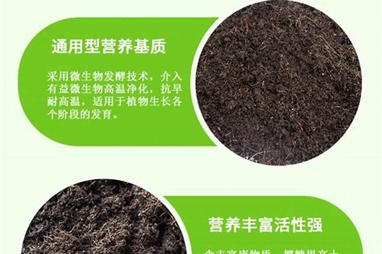 蓝莓浇腐殖酸水溶肥好吗？