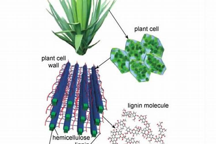 宁夏鲁西化工化肥有限公司的公司简介