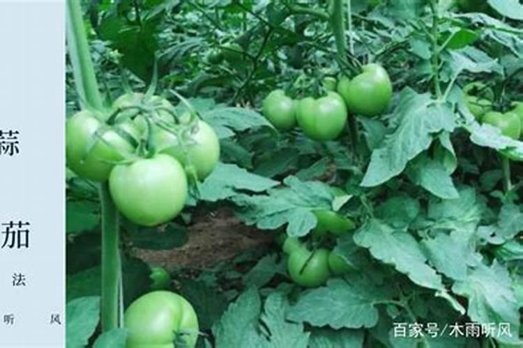 芸苔素和腐殖酸二氢钾混用吗