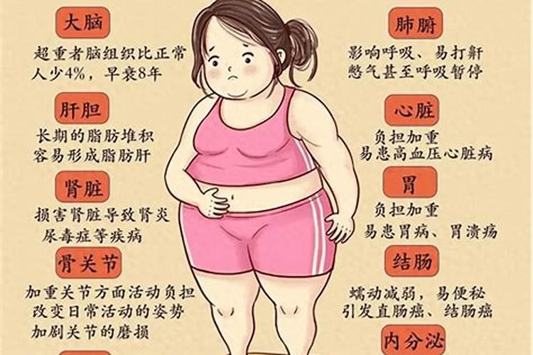 鱼蛋白对植物的作用