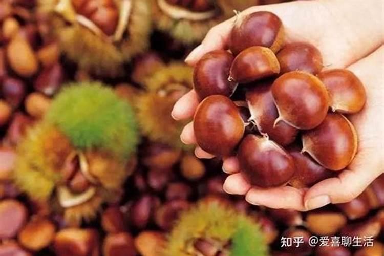 板栗壳怎么发酵当花肥