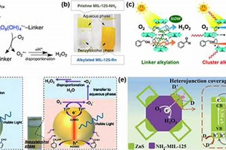 多肉叶插苗用什么土最好