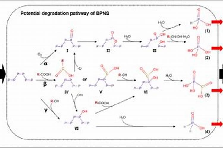 复硝酚钠矿源黄腐酸钾尿素能一起用吗