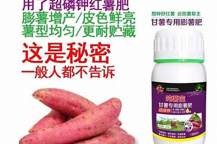 水溶肥冲上几天见效