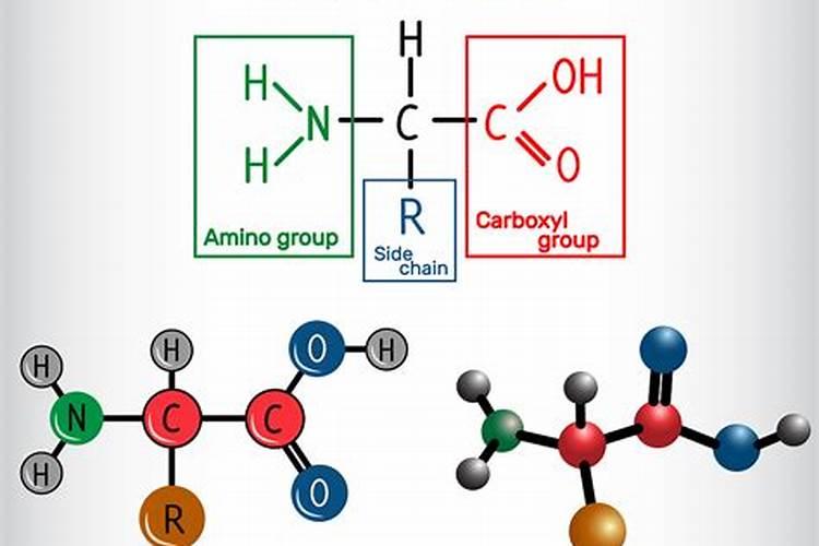 氮肥的主要成分和作用